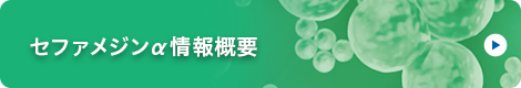情報概要