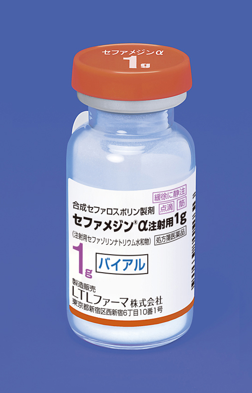 セファメジンα注射用1g 10バイアル
